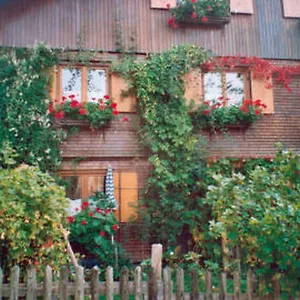 Haus Lisa Wittwer Apartment
